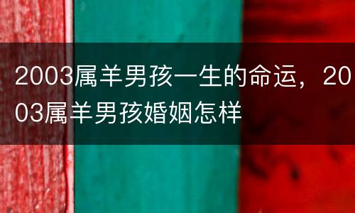 2003属羊男孩一生的命运，2003属羊男孩婚姻怎样