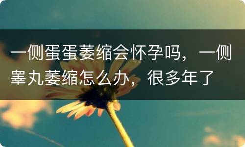 一侧蛋蛋萎缩会怀孕吗，一侧睾丸萎缩怎么办，很多年了