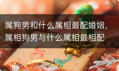 属狗男和什么属相最配婚姻，属相狗男与什么属相最相配