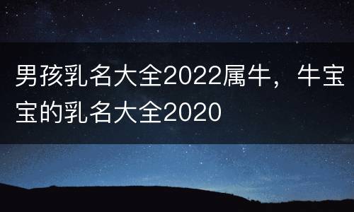 男孩乳名大全2022属牛，牛宝宝的乳名大全2020