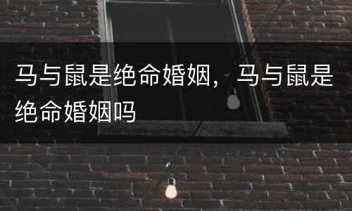马与鼠是绝命婚姻，马与鼠是绝命婚姻吗