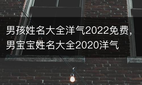 男孩姓名大全洋气2022免费，男宝宝姓名大全2020洋气