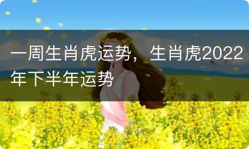 一周生肖虎运势，生肖虎2022年下半年运势