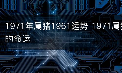 1971年属猪1961运势 1971属猪的命运