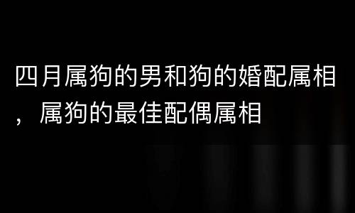 四月属狗的男和狗的婚配属相，属狗的最佳配偶属相