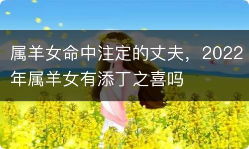 属羊女命中注定的丈夫，2022年属羊女有添丁之喜吗