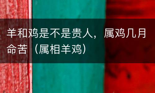 羊和鸡是不是贵人，属鸡几月命苦（属相羊鸡）