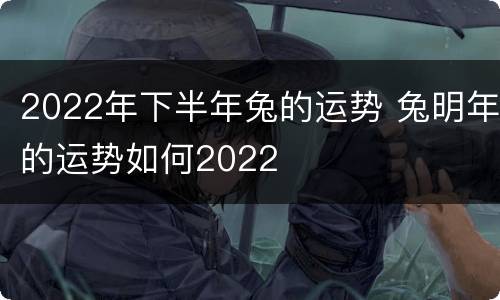 2022年下半年兔的运势 兔明年的运势如何2022