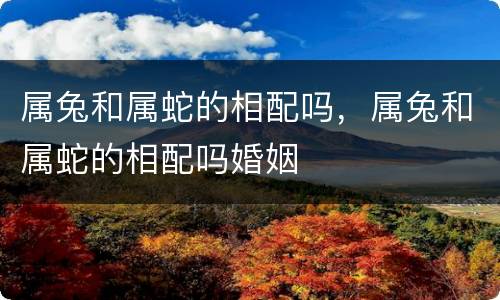 属兔和属蛇的相配吗，属兔和属蛇的相配吗婚姻