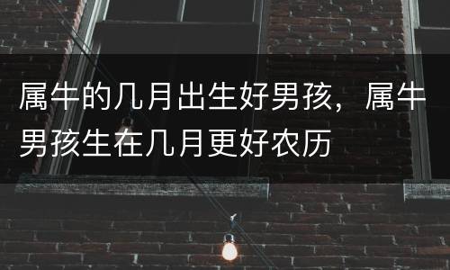 属牛的几月出生好男孩，属牛男孩生在几月更好农历