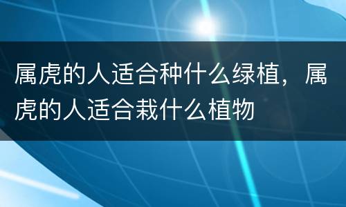 属虎的人适合种什么绿植，属虎的人适合栽什么植物