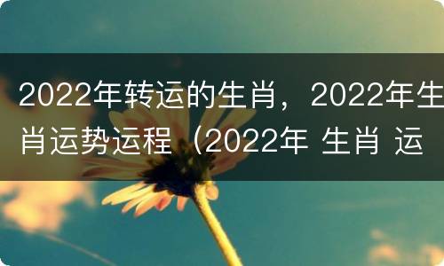 2022年转运的生肖，2022年生肖运势运程（2022年 生肖 运势）