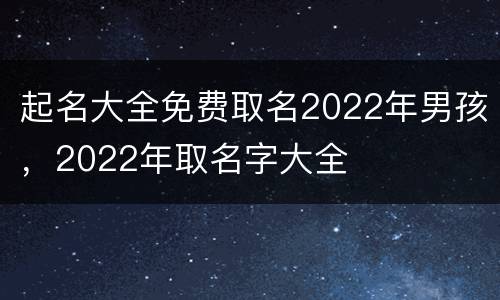 起名大全免费取名2022年男孩，2022年取名字大全