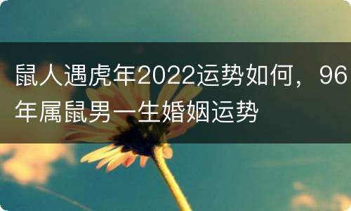 鼠人遇虎年2022运势如何，96年属鼠男一生婚姻运势