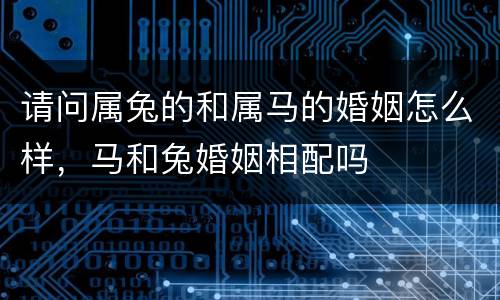 请问属兔的和属马的婚姻怎么样，马和兔婚姻相配吗