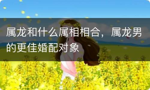 属龙和什么属相相合，属龙男的更佳婚配对象