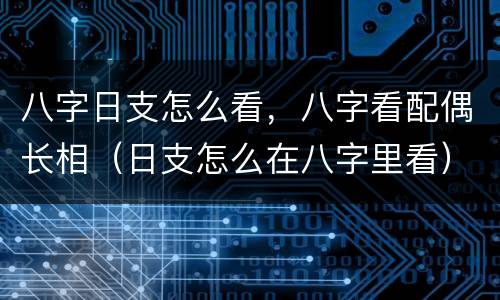 八字日支怎么看，八字看配偶长相（日支怎么在八字里看）