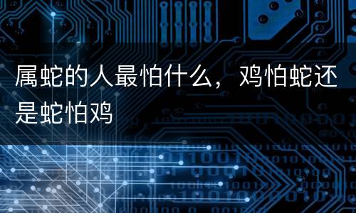 属蛇的人最怕什么，鸡怕蛇还是蛇怕鸡