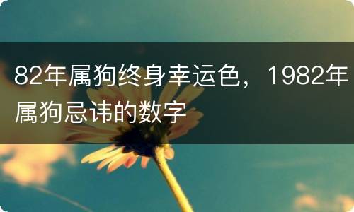 82年属狗终身幸运色，1982年属狗忌讳的数字