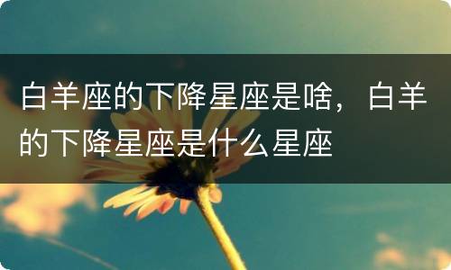 白羊座的下降星座是啥，白羊的下降星座是什么星座