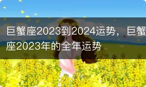 巨蟹座2023到2024运势，巨蟹座2023年的全年运势
