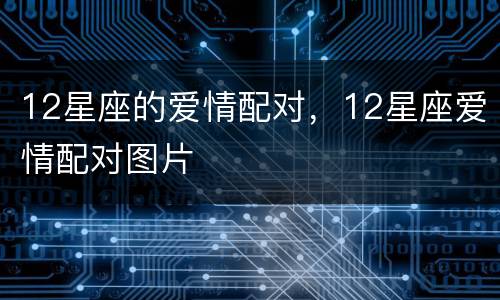 12星座的爱情配对，12星座爱情配对图片