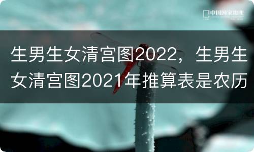 生男生女清宫图2022，生男生女清宫图2021年推算表是农历还是阳历