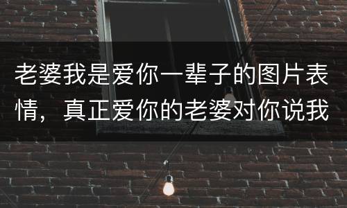 老婆我是爱你一辈子的图片表情，真正爱你的老婆对你说我爱你时是什么表情？