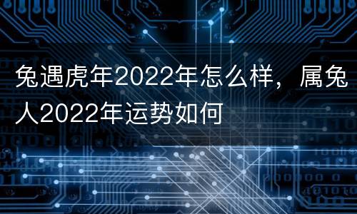 兔遇虎年2022年怎么样，属兔人2022年运势如何