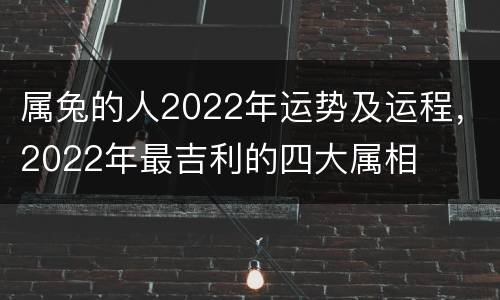 属兔的人2022年运势及运程，2022年最吉利的四大属相