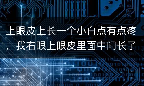 上眼皮上长一个小白点有点疼，我右眼上眼皮里面中间长了个小白点，感觉顶着