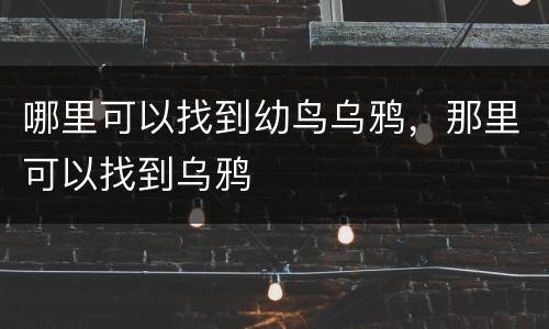 哪里可以找到幼鸟乌鸦，那里可以找到乌鸦