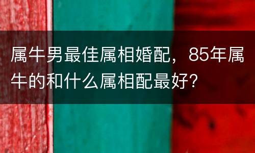 属牛男最佳属相婚配，85年属牛的和什么属相配最好?