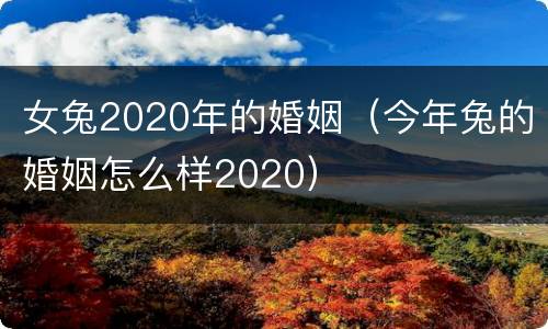 女兔2020年的婚姻（今年兔的婚姻怎么样2020）