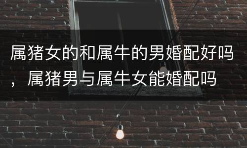 属猪女的和属牛的男婚配好吗，属猪男与属牛女能婚配吗