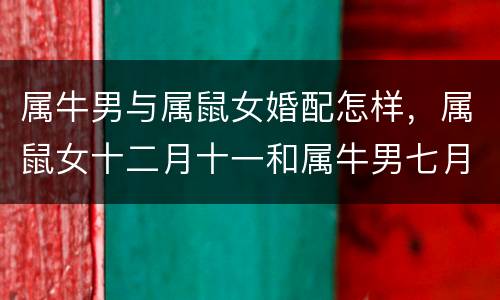 属牛男与属鼠女婚配怎样，属鼠女十二月十一和属牛男七月八婚姻怎样