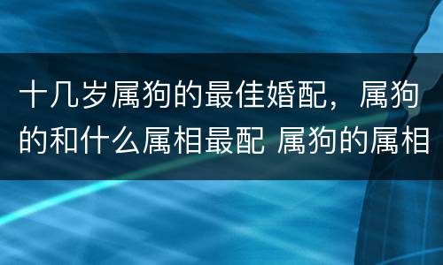 十几岁属狗的最佳婚配，属狗的和什么属相最配 属狗的属相婚配表