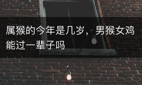 属猴的今年是几岁，男猴女鸡能过一辈子吗