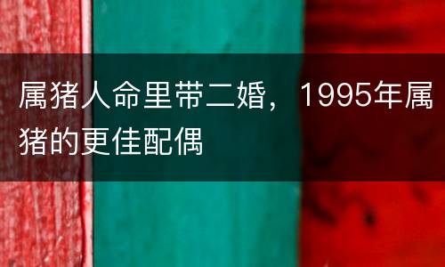 属猪人命里带二婚，1995年属猪的更佳配偶