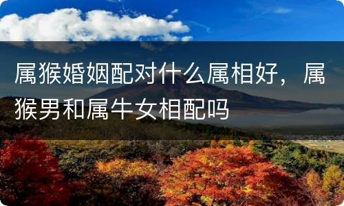 属猴婚姻配对什么属相好，属猴男和属牛女相配吗