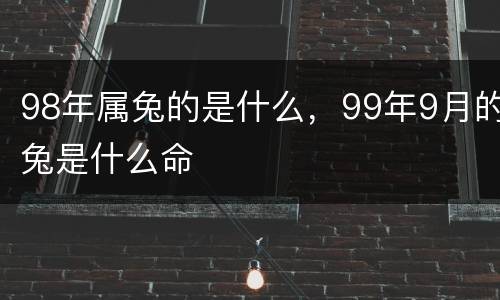 98年属兔的是什么，99年9月的兔是什么命