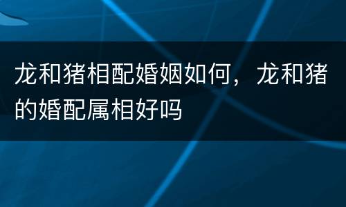 龙和猪相配婚姻如何，龙和猪的婚配属相好吗
