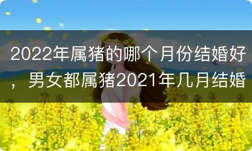 2022年属猪的哪个月份结婚好，男女都属猪2021年几月结婚好