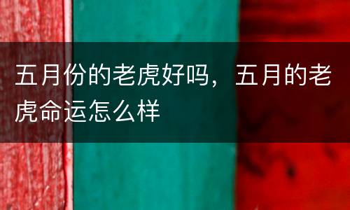 五月份的老虎好吗，五月的老虎命运怎么样