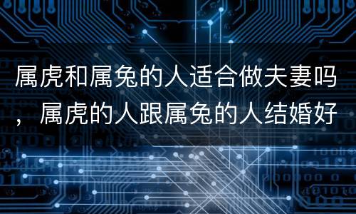 属虎和属兔的人适合做夫妻吗，属虎的人跟属兔的人结婚好不好