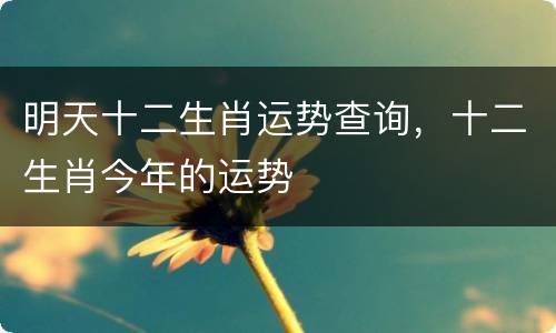 明天十二生肖运势查询，十二生肖今年的运势