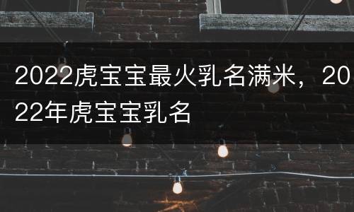 2022虎宝宝最火乳名满米，2022年虎宝宝乳名