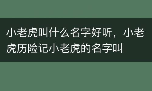 小老虎叫什么名字好听，小老虎历险记小老虎的名字叫