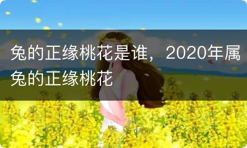 兔的正缘桃花是谁，2020年属兔的正缘桃花