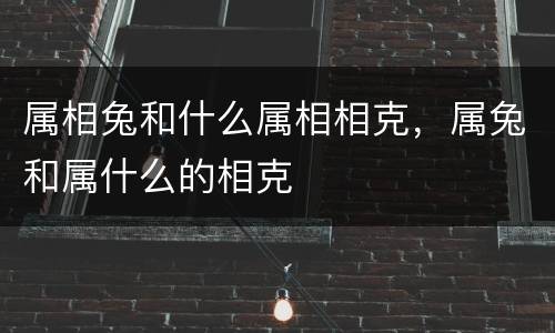 属相兔和什么属相相克，属兔和属什么的相克